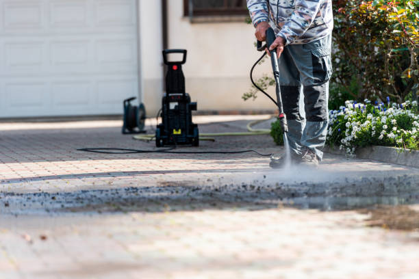 Best Affordable Power Washing  in Newton, MS