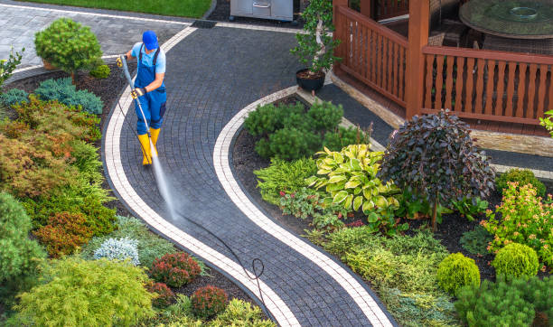 Local Pressure Washing Services in Newton, MS